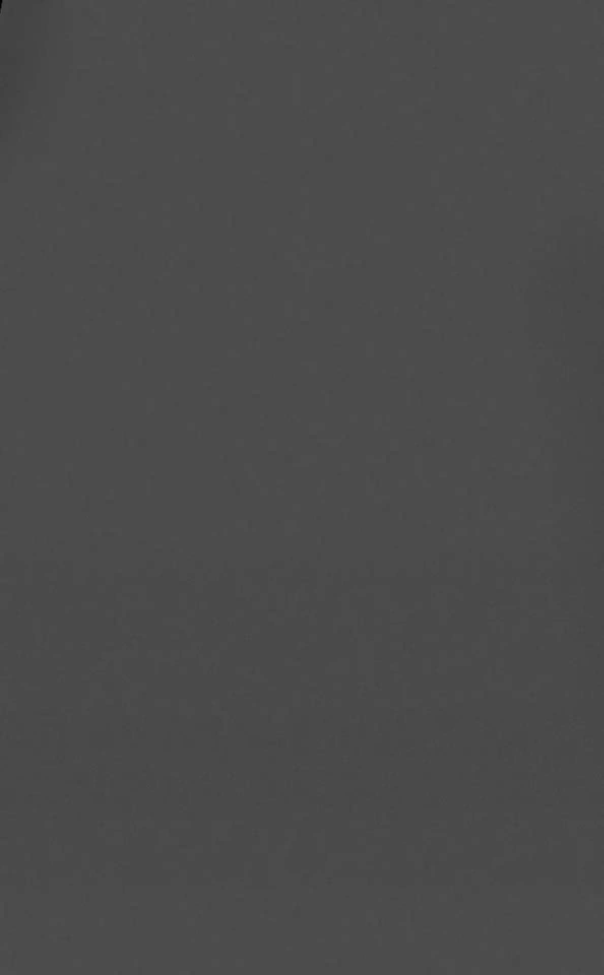 Visico Carbon Gray 2.72 x 11 Metre Fon Kağıdı