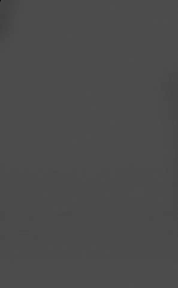 Visico Carbon Gray 2.72 x 11 Metre Fon Kağıdı